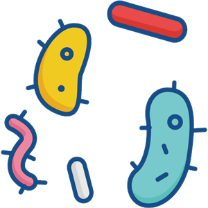 Bacteria PNG-43383